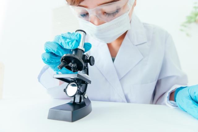 食品中間原料の研究開発職（大手食品メーカーとの取引多数/中間原材料メーカー）